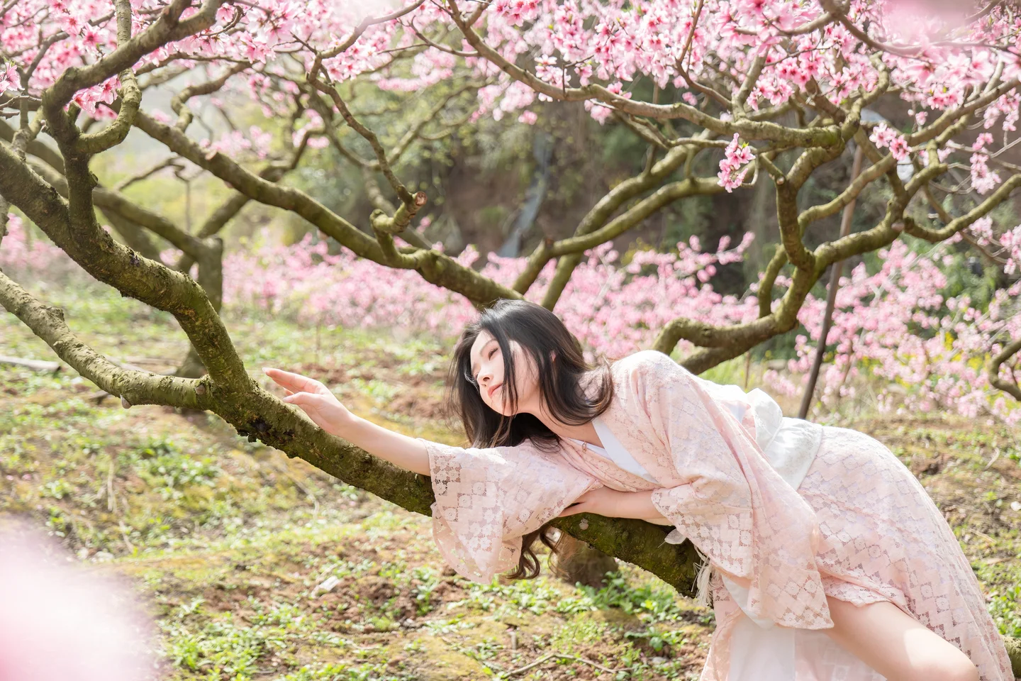 年年 - 漫花 [86P-595MB] tg@simisebaisi 【丝足阁】041.webp